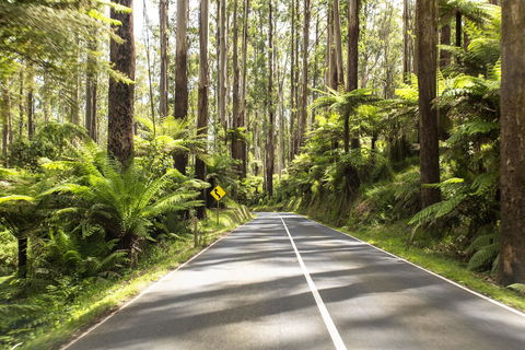 Peppers Marysville - Australian Directory 21