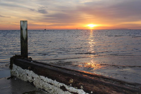 Boathouse Resort Studios And Suites - Australian Directory 28