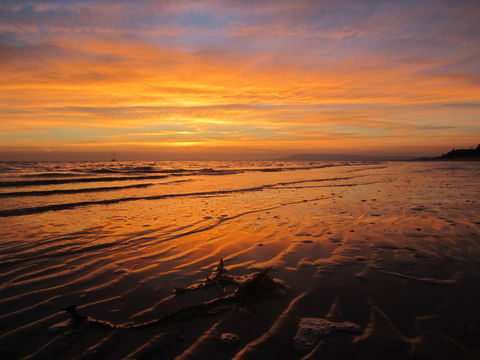 Boathouse Resort Studios And Suites - Australian Directory 14