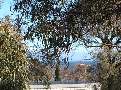 Kookas Retreat - Australian Directory 17