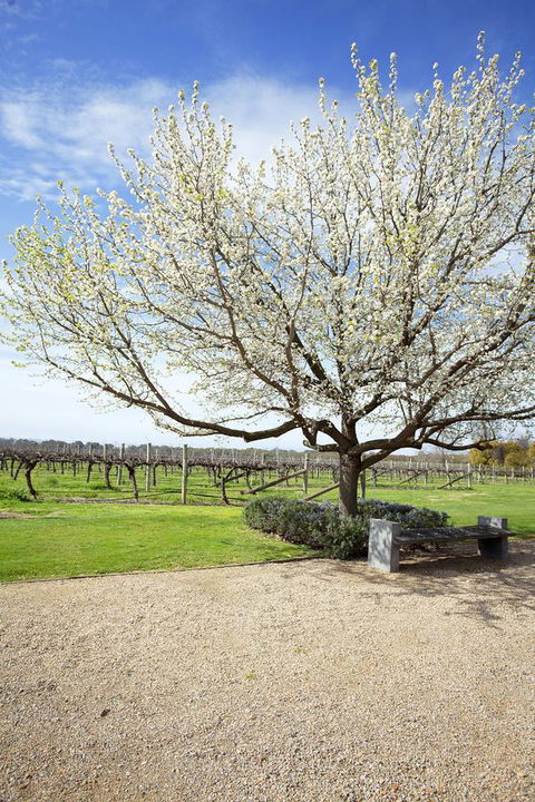 Lancemore Milawa - Australian Directory 12