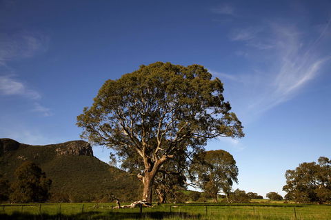 Dunkeld Studio Accommodation - Australian Directory 23