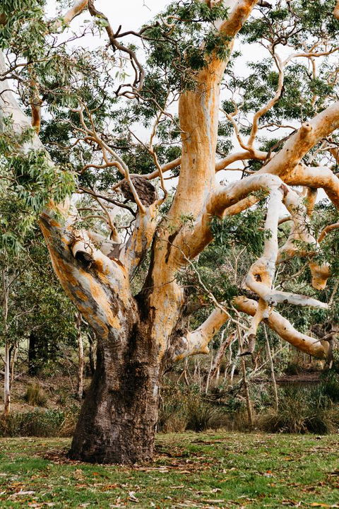 Dunkeld Studio Accommodation - Australian Directory 22