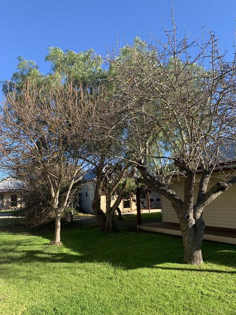 Dunkeld Studio Accommodation - Australian Directory 4