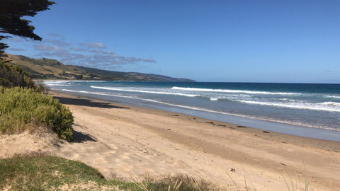 Ocean View Treetops Retreat - Australian Directory 16