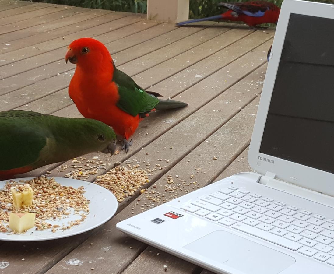  Australian Directory