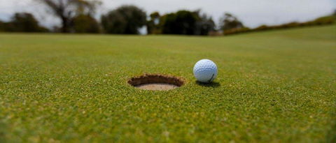 Bay Motel Safety Beach - Australian Directory 14