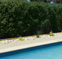 Robinvale Bridge Motel - Australian Directory