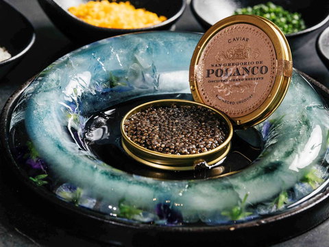 Sofitel Melbourne On Collins - Australian Directory 41