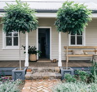 Acre of Roses - Australian Directory