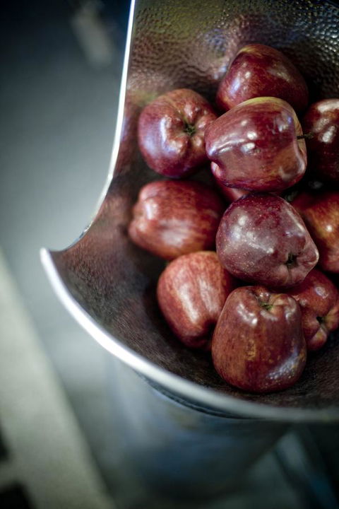 Alto Hotel On Bourke - Australian Directory 40