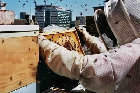 Alto Hotel On Bourke - Australian Directory 14