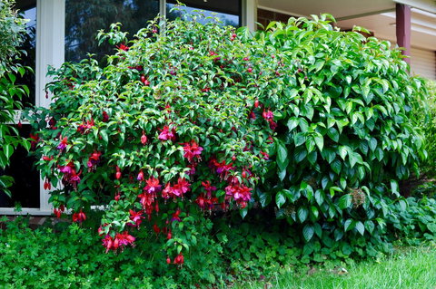 Crimea Retreat - Australian Directory 18