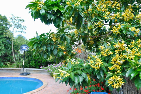 Crimea Retreat - Australian Directory 20