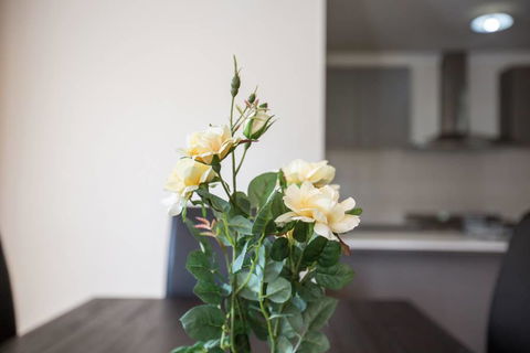 Holiday Rose - Australian Directory 8