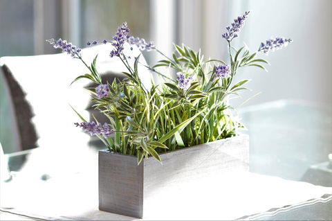 Tamara Temptation - Australian Directory 23