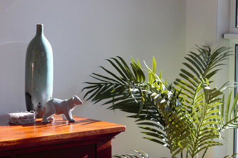 Tamara Temptation - Australian Directory 22