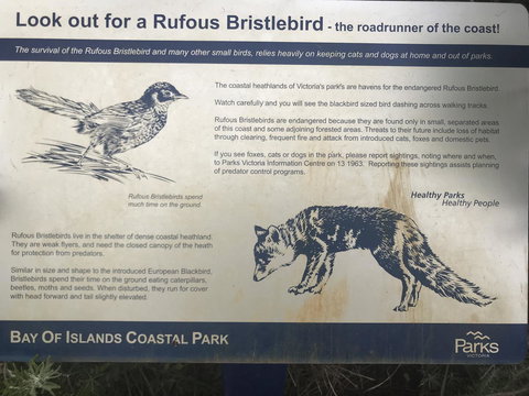 Sunsets On Martyrs Luxury Coastal Beach House Peterborough - Australian Directory 40