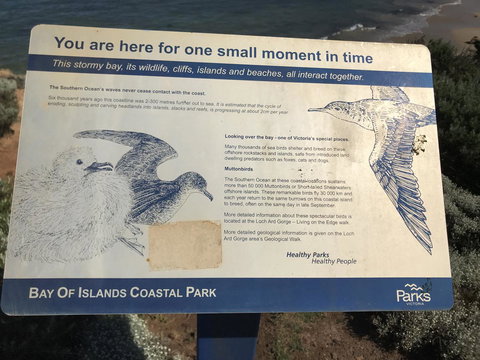 Sunsets On Martyrs Luxury Coastal Beach House Peterborough - Australian Directory 39