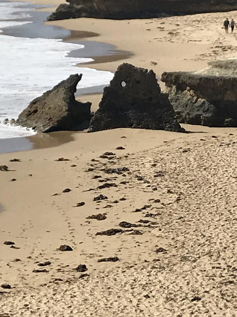 Sunsets On Martyrs Luxury Coastal Beach House Peterborough - Australian Directory 41