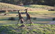 Yarra Valley Lodge - thumb 38