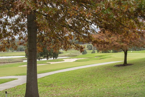 Yarra Valley Lodge - Australian Directory 2