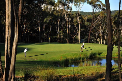 RACV Goldfields Resort - Australian Directory 12