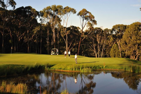 RACV Goldfields Resort - Australian Directory 31