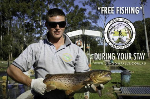 Lithgow Falls Marysville - Australian Directory 14