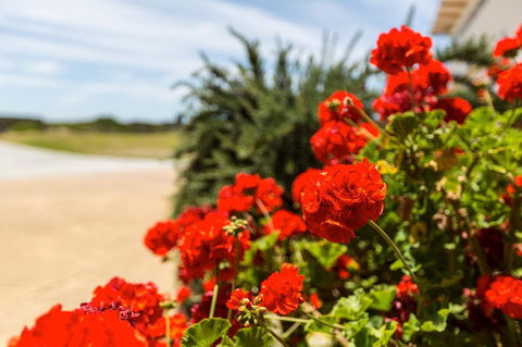 Cottages For Couples - Australian Directory 13