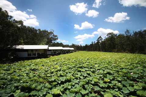 The Boathouses At Leaves & Fishes - Australian Directory 0