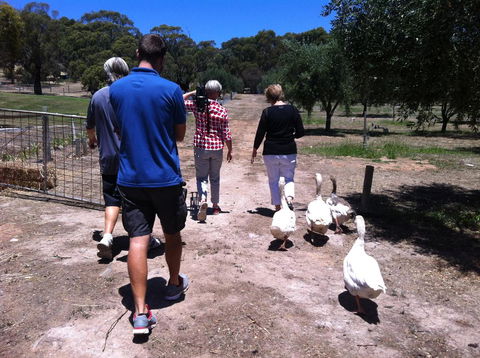 The Farm Willunga - Australian Directory 1