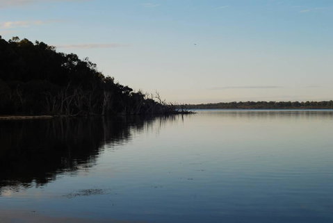 The King Barn Bouvard - Australian Directory 3