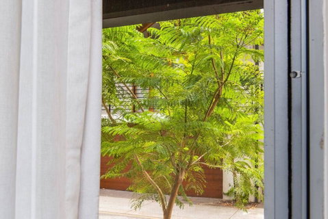 The Nest - Homely Escape In Northbridge And Large Roof Terrace - Australian Directory 1