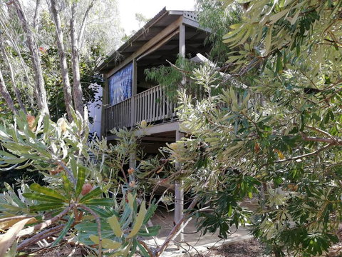 The Treehouse In Dawesville - Australian Directory 2
