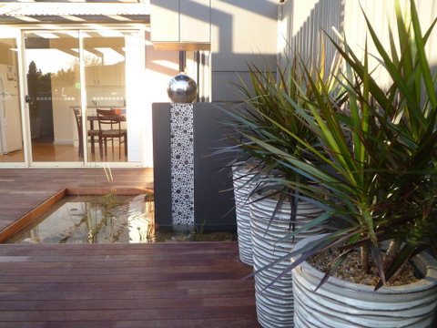The Wet Lizard - Australian Directory 0