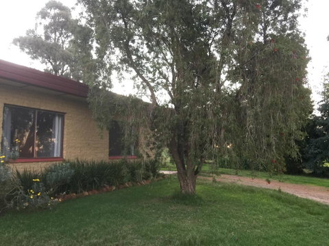 Tree Of Love Farm Stay - Australian Directory 1