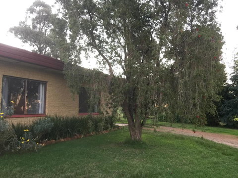 Tree Of Love Farm Stay - Australian Directory 1