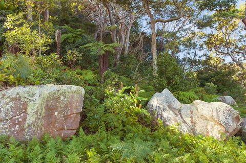 Treehouse Palm Beach - Australian Directory 2