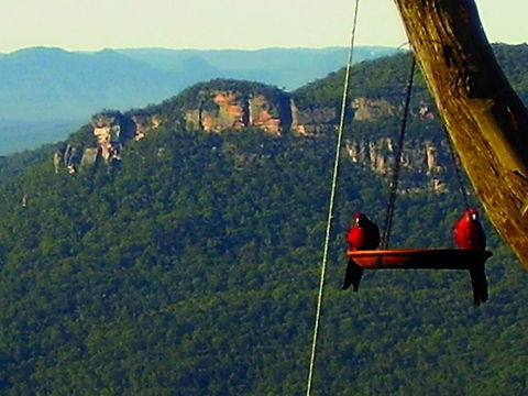 Valley Of The Waters B&B - Australian Directory 3