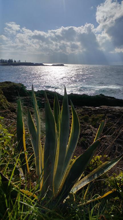 Ven & Marks Place - Australian Directory 0