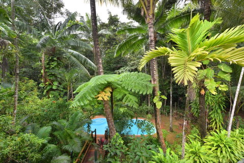 Wait A While Daintree - Australian Directory 3