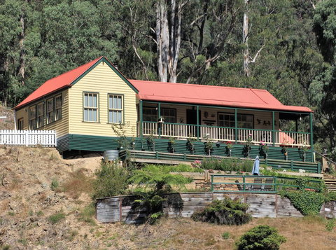 Walhalla Wild Cherry - Australian Directory 0