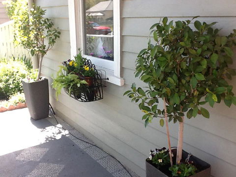 Redruth Cottage - Australian Directory 19