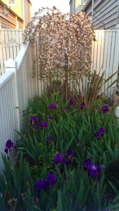 Redruth Cottage - Australian Directory 24