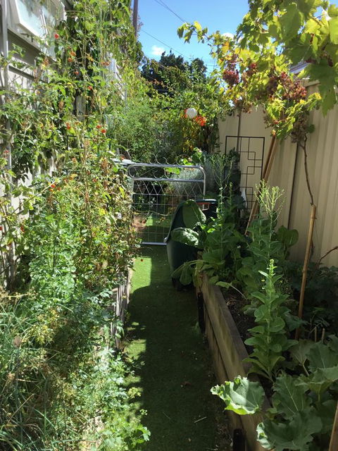 Redruth Cottage - Australian Directory 7