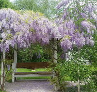 Amelina Cottages - Australian Directory