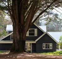 The Orchard - Australian Directory