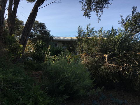 Andrew's On Topaz - Australian Directory 7