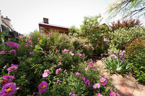 National Hotel Complex Bendigo - Australian Directory 21